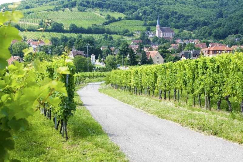 Appartement Avec Terrasse Entre Vignes, Balades, Alsace Guebwiller Buitenkant foto